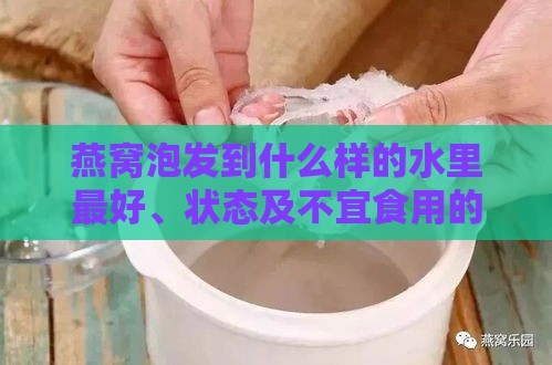 燕窝泡发到什么样的水里更好、状态及不宜食用的水类型