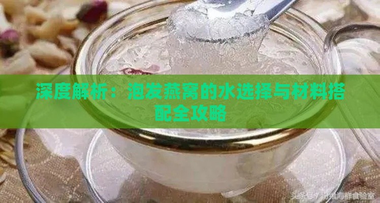 深度解析：泡发燕窝的水选择与材料搭配全攻略