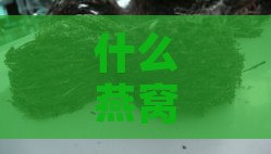 什么燕窝没有毛，燕窝无细毛是否真实，燕窝有毛与无毛的区别