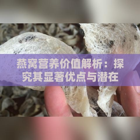 燕窝营养价值解析：探究其显著优点与潜在不足之处