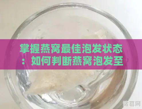 掌握燕窝更佳泡发状态：如何判断燕窝泡发至理想形态