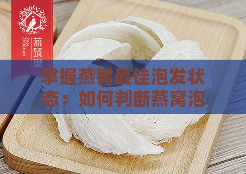 掌握燕窝更佳泡发状态：如何判断燕窝泡发至理想形态