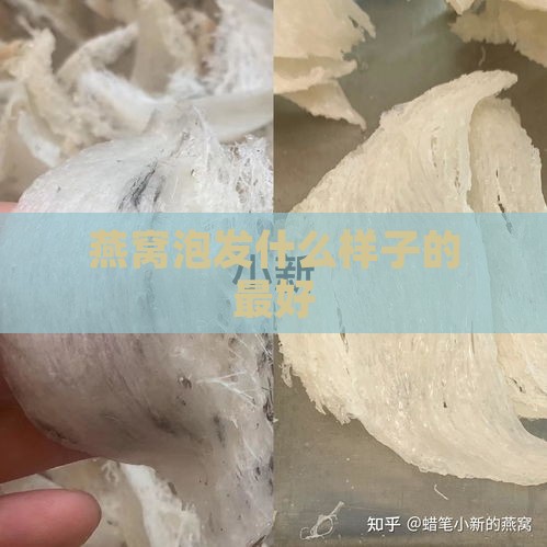 燕窝泡发什么样子的更好