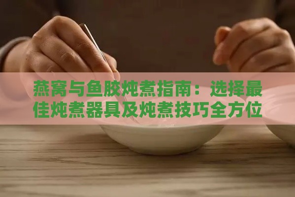 燕窝与鱼胶炖煮指南：选择更佳炖煮器具及炖煮技巧全方位解析