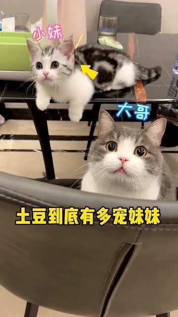 揭秘猫妹妹推荐的燕窝：品质燕窝大揭秘