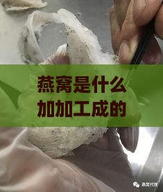 燕窝是什么加加工成的呢