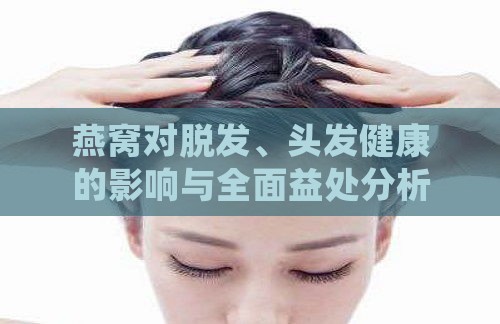 燕窝对脱发、头发健康的影响与全面益处分析