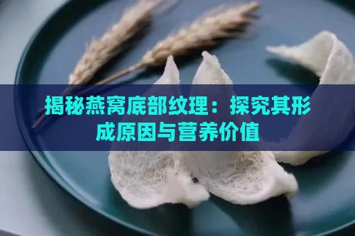 揭秘燕窝底部纹理：探究其形成原因与营养价值