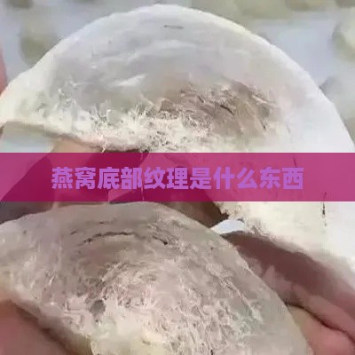 燕窝底部纹理是什么东西