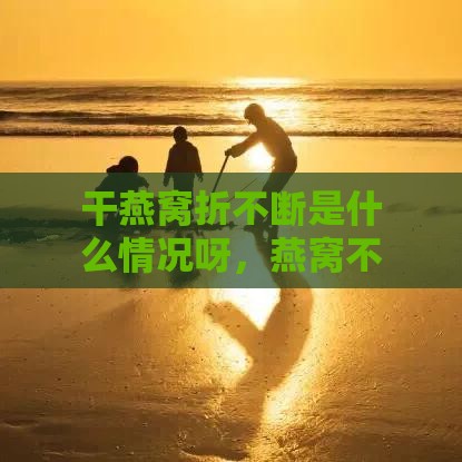 干燕窝折不断是什么情况呀，燕窝不足干折不断的原因探究