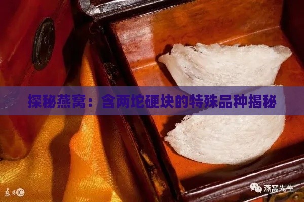 探秘燕窝：含两坨硬块的特殊品种揭秘