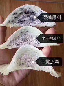 燕窝有一块很硬：食用安全性及原因分析