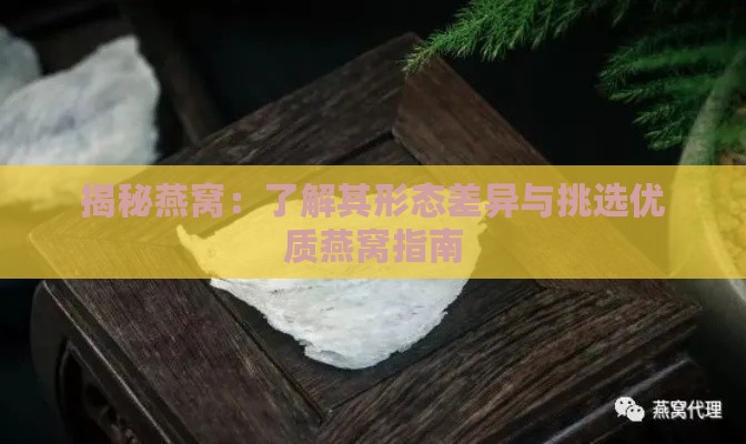 揭秘燕窝：了解其形态差异与挑选优质燕窝指南