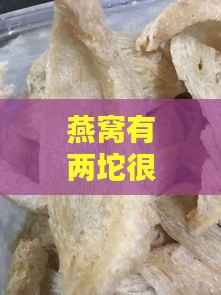 燕窝有两坨很硬的是什么