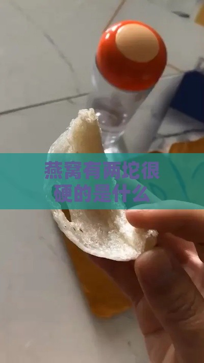 燕窝有两坨很硬的是什么