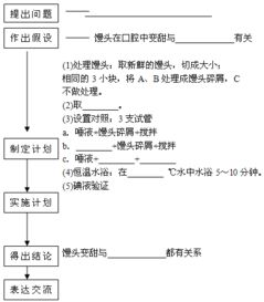 揭秘燕窝原料与制作工艺：探究市售燕窝的真实成分与生产流程