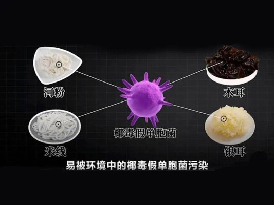 燕窝细菌：燕窝含菌量、病携带与杀菌处理探究