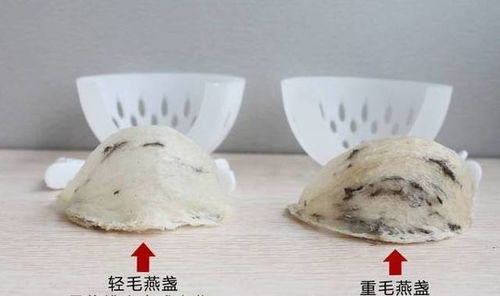 '揭秘燕窝珍品：金盏燕的独特魅力与价值'