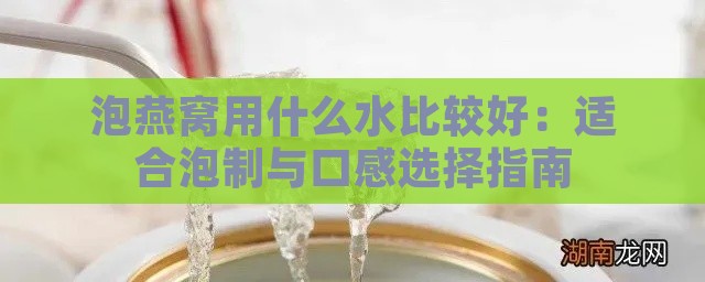 泡燕窝用什么水比较好：适合泡制与口感选择指南