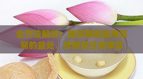 全方位解析：备孕期间食用燕窝的益处、作用及注意事项