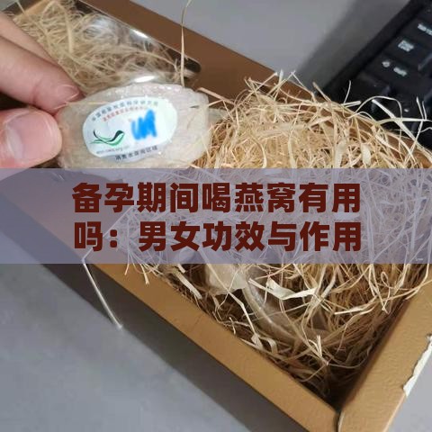 备孕期间喝燕窝有用吗：男女功效与作用解析