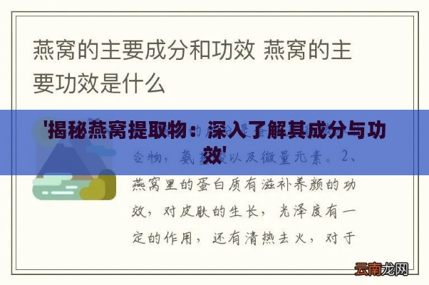 '揭秘燕窝提取物：深入了解其成分与功效'