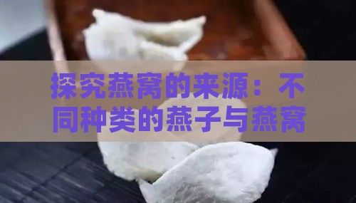 探究燕窝的来源：不同种类的燕子与燕窝的形成过程