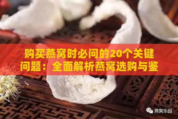 购买燕窝时必问的20个关键问题：全面解析燕窝选购与鉴别要点