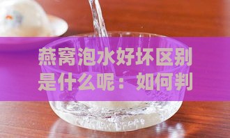 燕窝泡水好坏区别是什么呢：如何判断燕窝泡水质量与效果？