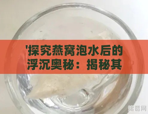 '探究燕窝泡水后的浮沉奥秘：揭秘其沉浮特性'