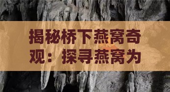 揭秘桥下燕窝奇观：探寻燕窝为何遍布桥梁之下