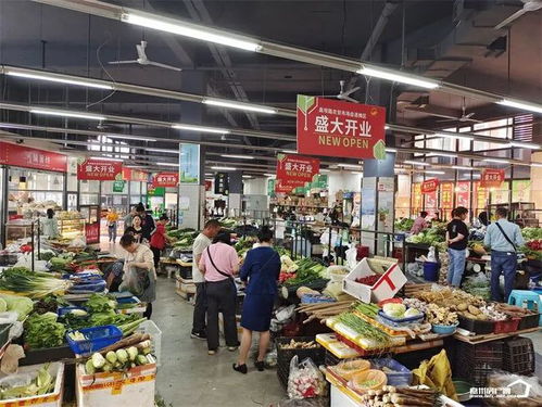 义乌哪里有卖燕窝：实体店、市场、店铺一览