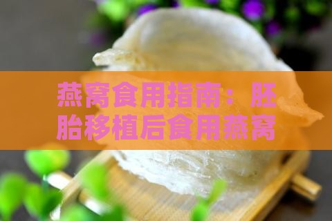 燕窝食用指南：胚胎移植后食用燕窝的适宜性分析