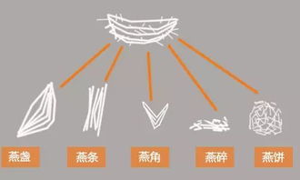 深入解析燕窝囊丝与燕碎的来源、区别及其营养价值