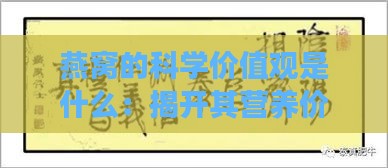 燕窝的科学价值观是什么：揭开其营养价值与真实功效