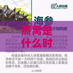 燕窝是什么时候开始盛行的及其原因与流行历程探究