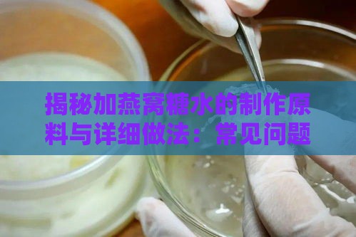 揭秘加燕窝糖水的制作原料与详细做法：常见问题全解析