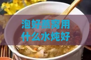 泡好燕窝用什么水炖好呢