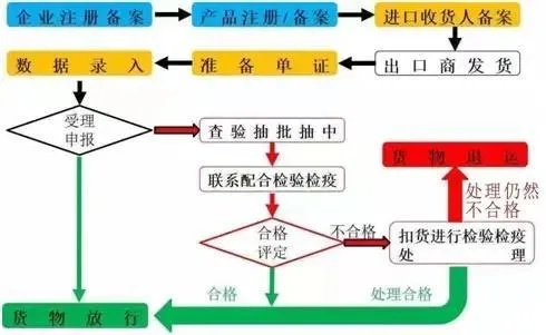 燕窝出口流程揭秘：合规手续与检疫认证全解析