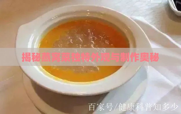 揭秘燕窝菜独特外观与制作奥秘