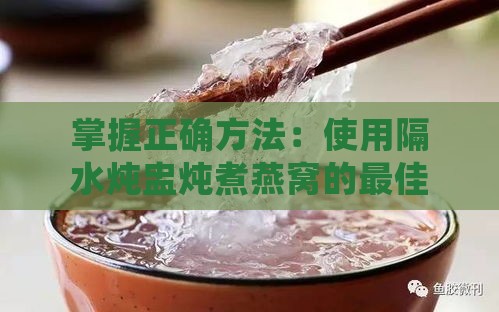 掌握正确方法：使用隔水炖盅炖煮燕窝的更佳实践