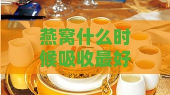 燕窝什么时候吸收更好：即食燕窝与燕窝更佳吸收时段解析