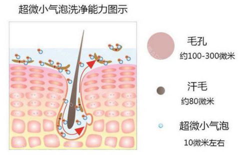 燕窝看小气泡是什么原理