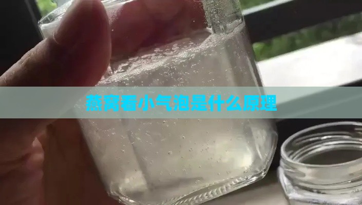 燕窝看小气泡是什么原理