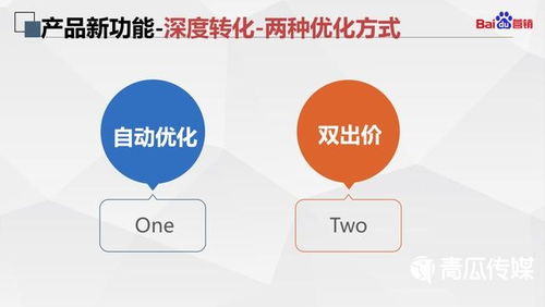 燕窝的全方位解析：性能、功效与日常应用指南