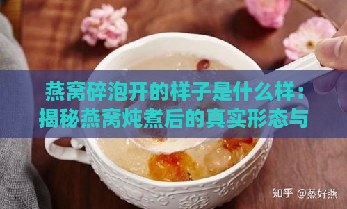 燕窝碎泡开的样子是什么样：揭秘燕窝炖煮后的真实形态与口感变化