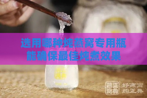 选用哪种炖燕窝专用瓶能确保更佳炖煮效果