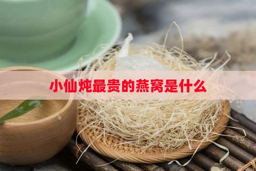 小仙炖最贵的燕窝是什么