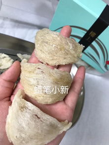 燕窝和海燕的区别是什么