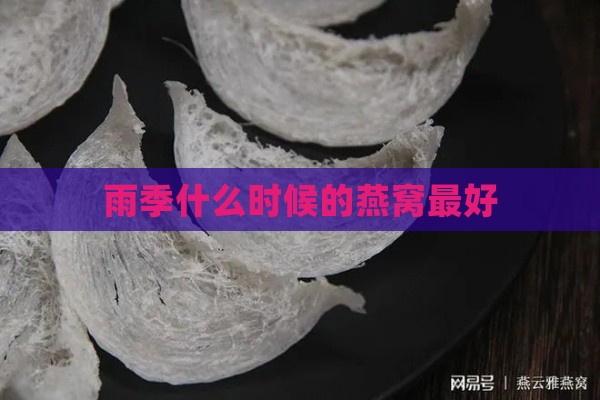 雨季什么时候的燕窝更好